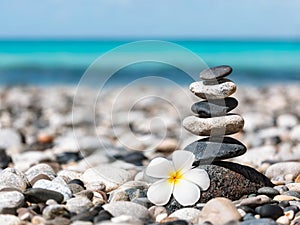 Zen balanced stones stack with plumeria flower