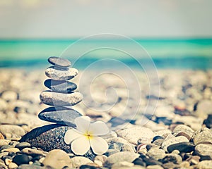 Zen balanced stones stack with plumeria flower