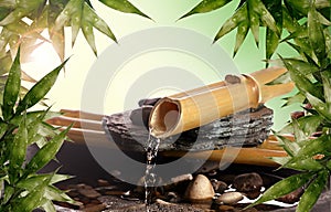 Zen bamboo fountain