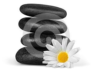 Zen basalt stones and flower on background