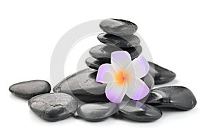 Zen basalt stones and Frangipani