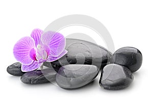Zen basalt stones ,orchid and bamboo