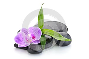 Zen basalt stones ,orchid and bamboo