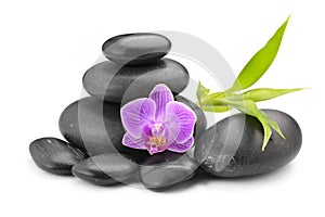 Zen basalt stones ,orchid and bamboo