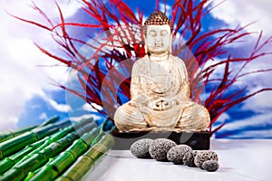 Zen buddha statue, vivid colors, natural tone