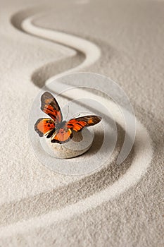 Zen butterfly