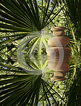 Zen composition with balancing pebbles and Palm tree leaves