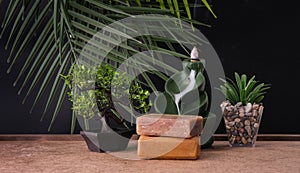 Zen Concept - Incense Smoke Flowing And Soaps With Bonsai Tree