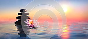 Zen Concept - Spa Stones And Waterlily