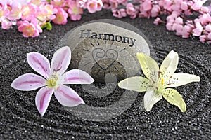 Zen garden of harmony photo