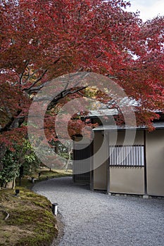 Zen garden at Kodai temple in Kyoto