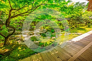 Zen garden Kyoto