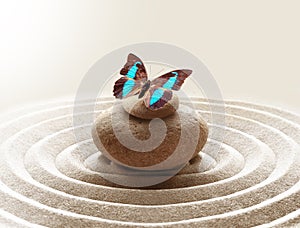 Zen garden meditation stone background and butterfly with stones and circles in sand for relaxation balance and harmony