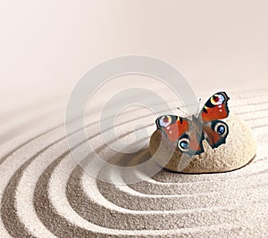 zen garden meditation stone background and butterfly with stones and lines in sand for relaxation balance and harmony