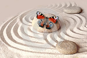 zen garden meditation stone background and butterfly with stones and lines in sand for relaxation balance and harmony