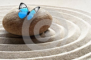 Zen garden meditation stone background and butterfly with stones and lines in sand for relaxation balance and harmony spirituality