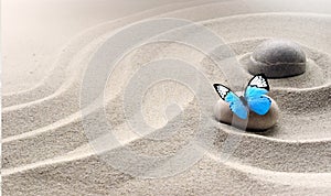 Zen garden meditation stone background and butterfly with stones and lines in sand for relaxation balance and harmony spirituality