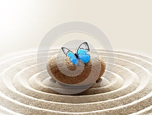 Zen garden meditation stone background and butterfly with stones and lines in sand for relaxation balance and harmony spirituality