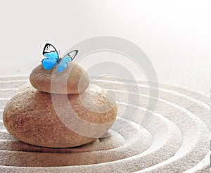 Zen garden meditation stone background and butterfly with stones and lines in sand for relaxation balance and harmony spirituality