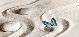 Zen garden meditation stone background and butterfly with stones and lines in sand for relaxation balance and harmony