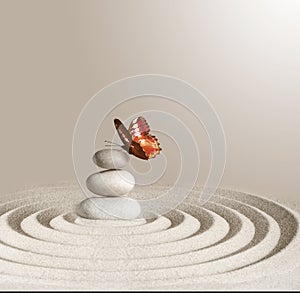zen garden meditation stone background and butterfly with stones and lines in sand for relaxation balance and harmony