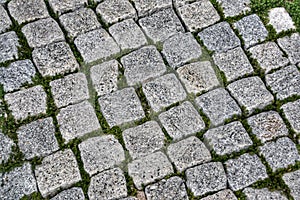 Zen garden pathway example.