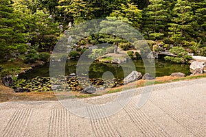 Zen garden with pond and pruned trees