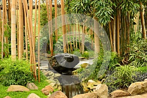 Zen garden of relaxation