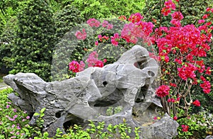 Zen garden with taihu rock