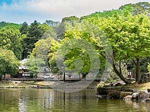 Zen Garden of Tenryu-ji, Heavenly Dragon Temple. In Japan