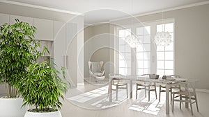Zen interior with potted bamboo plant, natural interior design concept, classic white kitchen with wooden details, minimalistic an