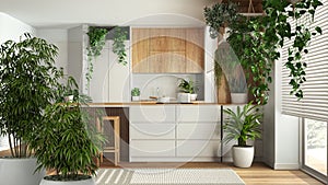 Zen interior with potted bamboo plant, natural interior design concept, dining room and kitchen with island, cabinets and