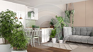 Zen interior with potted bamboo plant, natural interior design concept, living room and kitchen with island and chairs, sofa