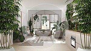 Zen interior with potted bamboo plant, natural interior design concept, living room and kitchen with sofa, cabinets and appliances