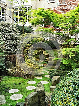 Zen Japanese garden