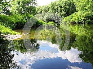 Zen landscape with water rings