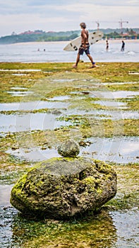 Zen-like Stones Covered with Moos on Beach during Low Tide, Nice Water Reflection, Lonely defocused surfer walk on the