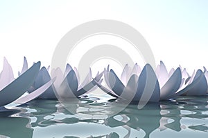 Zen loto flowers in water