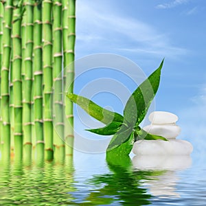 Zen massage stones and bamboo reflected in water