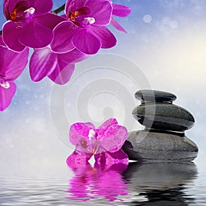 Zen massage stones and orchid flowers reflected in water