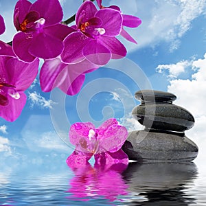 Zen massage stones and orchid flowers reflected in water