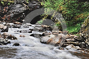 Zen on mountain river Harmony of the water
