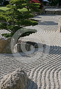 Zen pattern garden