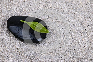 Zen pebble and green leaf