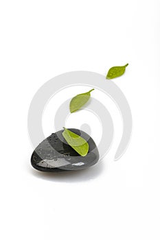 Zen pebble and green leaf