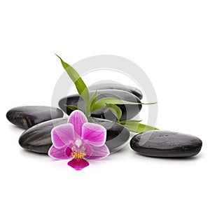 Zen pebbles path. Spa and healthcare concept.