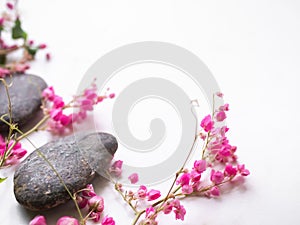 Zen pubbles with pink flowers on white table