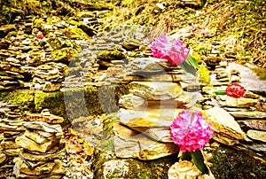 Zen rock arrangement along hiking trail mountains of Nepal