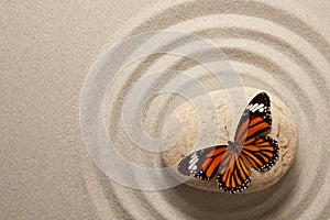 Zen rock with butterfly