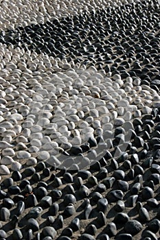 Zen rock garden